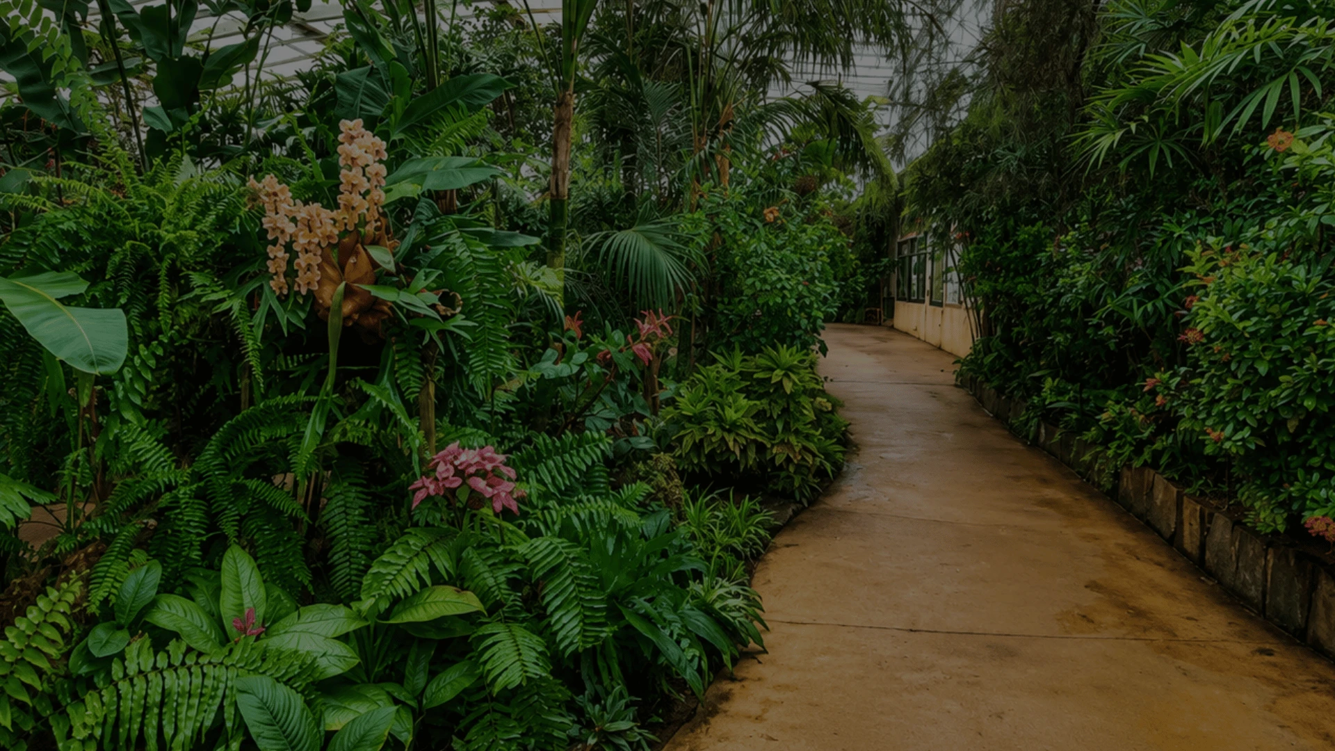 Interior del mariposario de Monowa